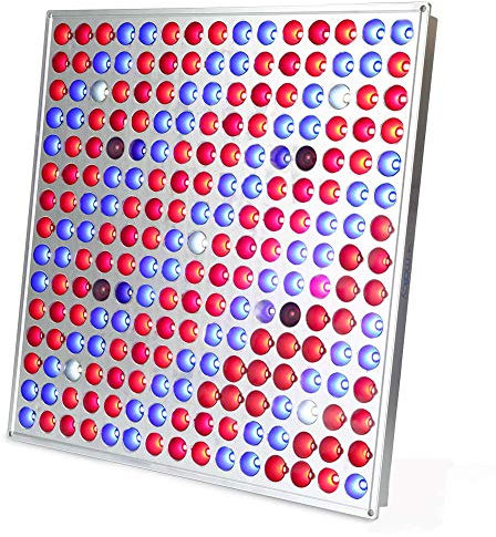 MAIICY Pflanzenlampe LED 45W Pflanzenlicht Pflanzenleuchte Wachstumslampe Wachsen licht Grow Lampe Vollspektrum für Pflanzen Wachstum Zimmerpflanzen Gemüse und Blumen im Garten