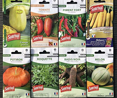 Graines de Carotte Jaune