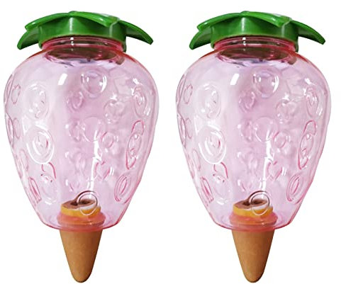 Bewässerungskugeln Für Pflanzen Plastik, Pflanzen Bewässerung Urlaub, Selbstbewässerung Kugel, Pflanzenbewässerer Garten, Bewässerungskegel Ton, Pflanzenbewässerungssysteme Zimmerpflanzen (Erdbeere)