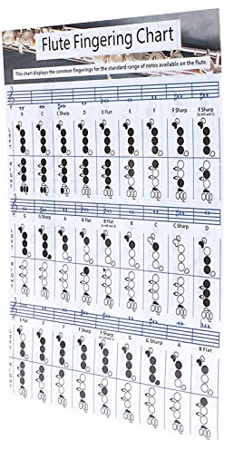 Flöte Akkordtabelle, sorgfältig hergestelltes beschichtetes Papier Flötengriff Akkordtabelle Instrumentenzubehör für Familie für Anfänger(Flöte Grifftisch klein (28 * 21cm))