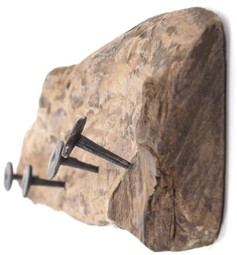 DESIGN DELIGHTS WANDGARDEROBE TEAKROOTS 50 | Teakholzwurzel, 50x8x12 cm | Vintage Garderobenleiste