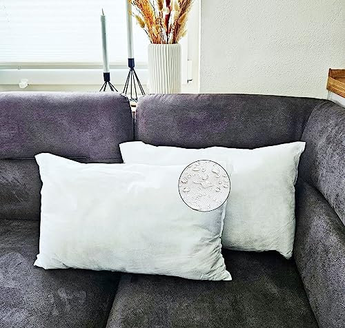 JACK 2er Set Innenkissen Kissenfüllung Inlett 30x50cm Wasserfest Wetterfest Kopfkissen Zierkissen Outdoor Kissen
