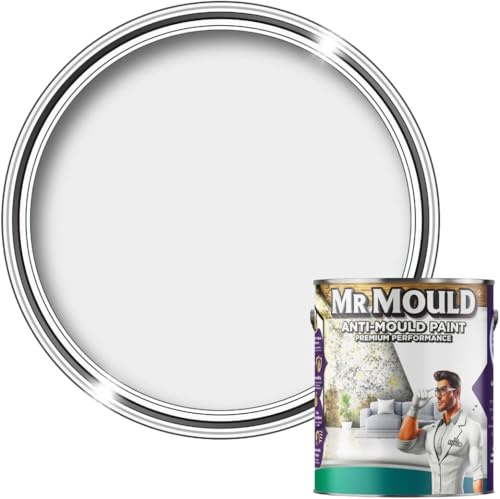 Mr Mould Anti Damp Paint 1L Light Grey – Long Lasting Wall & Ceiling Paint - Damp Seal Protection - Prevents Mould, Mildew & Condensation - Washable, Easy to Apply & Quick Drying Finish
