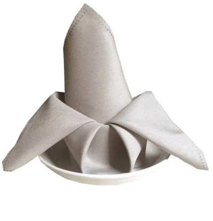 12 Stück 48x48cm Stoffservietten Servietten Quadratisch Einfarbig Servietten Stoff Waschbare Cloth Napkins für Tischdekoration Hochzeit Geburtstag Party Abendessen Restaurant,Silber grau
