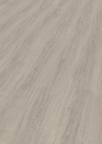 Egger Laminatboden Aqua Clic It EL1010 Victoria Eiche hellgrau (8mm, 2,542m²) | authentische Holzoptik | | Einfache Verlegung durch Klicksystem | Praktisch & wertbeständig, Grau