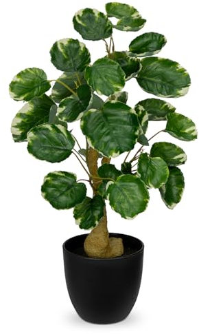 Hollyone 45CM Variegated Artificial Plant Fake Money Tree Indoor, Faux Greenery Decorative Artificial Plant in Black Pot for Home Decor, Office, Living Room, Kitchen, Bedroom, Bathroom Decorations