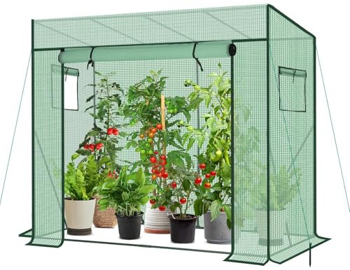 Sekey Serra per pomodoro, 200 x 170 x 77 cm, walk-in serra per balconi, esterni, stabile, resistente ai raggi UV, verde