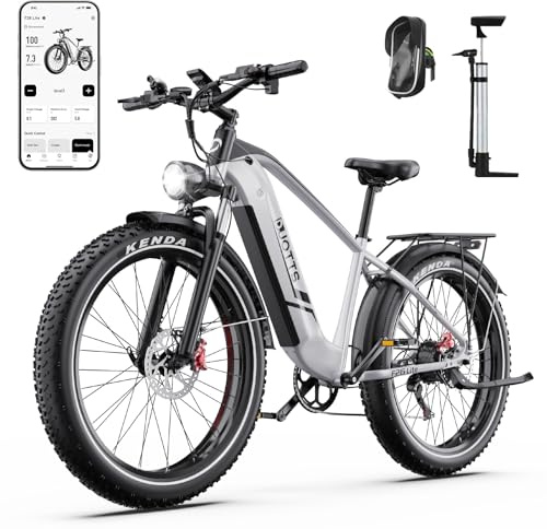 DUOTTS F26 Lite Vélo Électrique Adulte, 26 x 4,0 Pouces Fat VTT Électrique, Ebike 250W Batterie 48V 18Ah Autonomie Jusqu'à 140 Km, Double Frein Hydraulique, 7 Vitesses & Suspension Double
