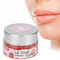 Gommage pour les Lèvres Ingrédients Naturels à la Fraise Gommage pour les Lèvres Adoucir Cutin Exfolier Fade Lip Lines Gommage pour les Lèvres 20g