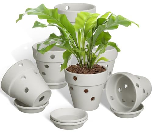 Ninehaoou Lot de 4 petits pots à orchidée en terre cuite avec trous et soucoupes pour rempotage pour orchidée, intérieur et extérieur, favorise la circulation de l'air (gris)
