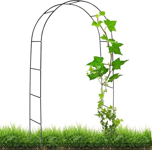 Arche de jardin en métal noir 1,2 m robuste pour diverses plantes grimpantes, décoration de jardin en plein air