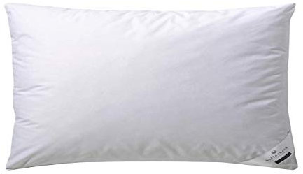 Billerbeck Daunenkissen Martina - Kissen in 40 x 80 cm – Kopfkissen mit Fester Stützkraft - Gänsedaunen 15% und -Federn 85%