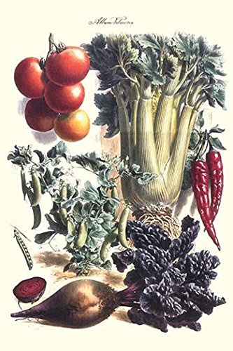 Vegetables Beet Hot peppers Celery Tomatoes and Peas in Pods Illustration from a famous French seed catalog and the vegetables that can be grown Poster Print by Philippe-Victoire Lev?que de Vilmorin
