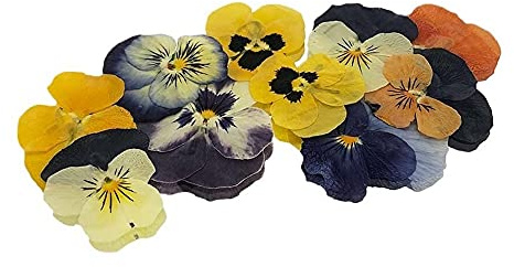 Pressed Violas Edible Flowers