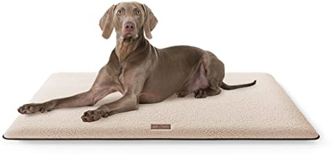Knuffelwuff kuschelige Hundematte Calliope aus Teddy Material 100x70cm Beige - Hundekissen für große, mittelgroße und kleine Hunde - Für Zuhause, Auto, Wohnmobil, Wohnwagen