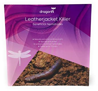 Dragonfli Leatherjacket Killer Nematodes 20 Square Metre Pack