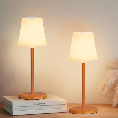 Ainostone 2 Pezzi Lampada da Tavolo Senza Fili con Temperatura Tricolore+RGB Lampade Ricaricabile Dimmerabile Controllo Touch IP54 Impermeabile per Esterno Interni Ristorante Bar Party Camera Letto