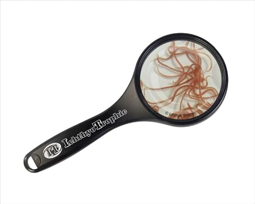 Glanzwürmer (Blackworms) 90 ml Lebendfutter für Zierfische – gereinigt & gewässert – Futtermittel (10 * 90ml)
