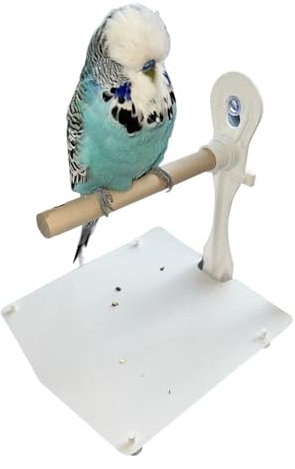 Sitzstange für Vögel mit Saugnapf zur Befestigung an Fenstern und Dusche