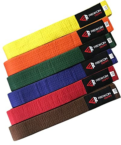URBANSBEE Taekwondo Professioneller Karate-Gürtel – Gürtel für Kampfsport, Karate Judo Gürtel, Budo-Gürtel, Kampfsport in Premium-Qualität (6/310 cm, Orange)