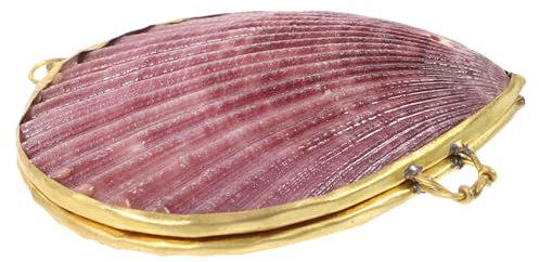 LIFKOME Muschel Schmuckaufbewahrungsbox Schmuckschatulle in Muschelform Aufbewahrungsbox Für Schmuckstücke Muschelschmucketui Kleinigkeitenbox Für Armbänder Ohrringe Und Accessoires