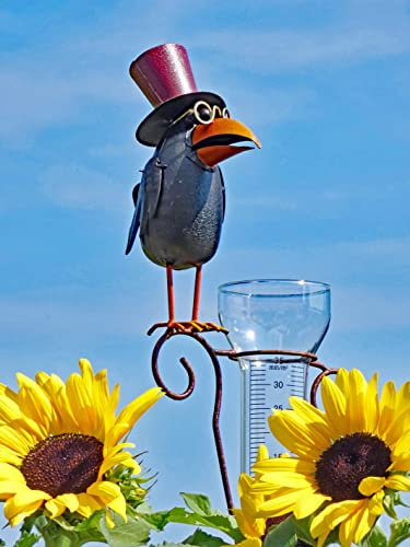Pommerntraum ® | Regenmesser Pluviometer Niederschlagsmesser Herr Prof. Dr. Rabe verrückter Vogel mit Hut Tolle Gartendekoration (schwarz - braun)
