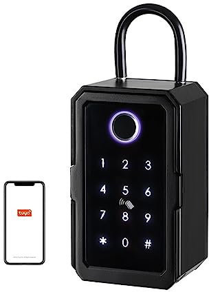 YQVEOT Coffre Fort, Serrure de Stockage de Mot de Passe Intelligente de sécurité étanche extérieure Tuya ou TTLock APP boîte à clés boîte antivol(TUYA)