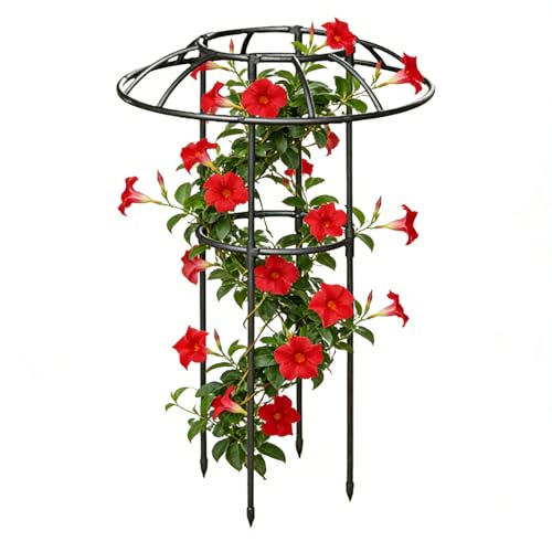 traliccio da giardino a forma di ombrello – stabile supporto decorativo per piante rampicanti – struttura a torre di fiori per esterni – per viti – rose clematide piante ortensie