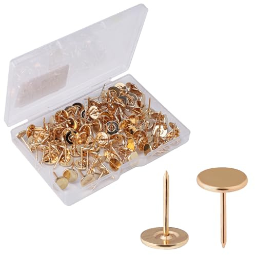 100pz Puntine da Disegno Resistenti, Puntine Testa Piatta in Lega Puntine per Tappezzeria Chiodi Decorativi per Legno Tessuto Tappezzeria Casa Ufficio Progetti Fai Da Te(Oro)