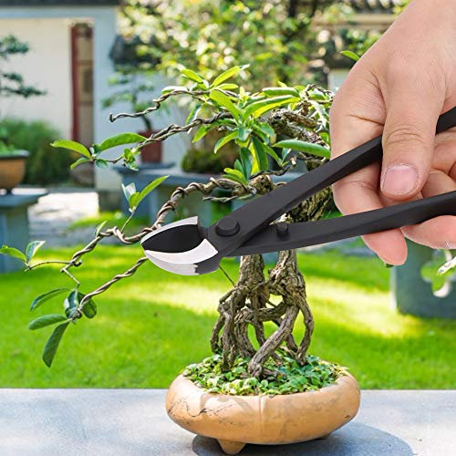 Cutter de Branche en Acier de Manganèse Professionnel Bonne netteté avec un Design Petit et Léger pour la Mise en Forme et la Idéale pour les Arbres Fruitiers Plantes de Jardin Cison
