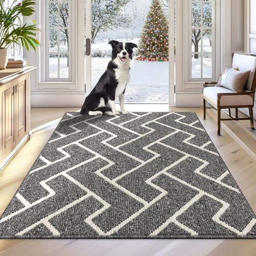 Biscpro Indoor Door Mats,80x100cm Door Mat Non Slip Backing,Dirt Trapper Mat Absorbent Non-Slip Doormat for Entrance,Inside,Kitchen,Front Back Door,Pets and Garden-Grey