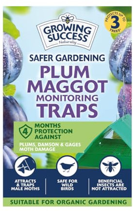 Growing Success Plum Maggot Monitoring Trap – Pheromone-Based Trap for Plum Trees, Attracts & Catches Plum Maggots, Prevents Damage, Eco-Friendly, Ideal for Organic Gardening & Pest Control