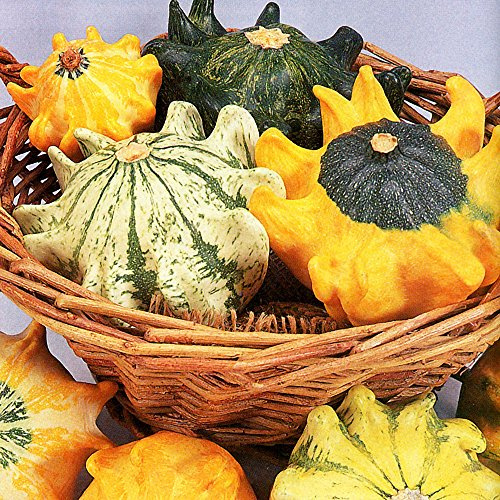 ZUCCA PICCOLA A FORMA DI CORONA NR.25 SEMI