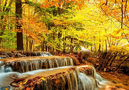 Fototapete 3D Effekt Vliestapete Tapeten Gelber Urwald Kleiner Wasserfall Naturlandschaft Fototapete Wandtapete Wallpaper Wandbilder 430x300cm