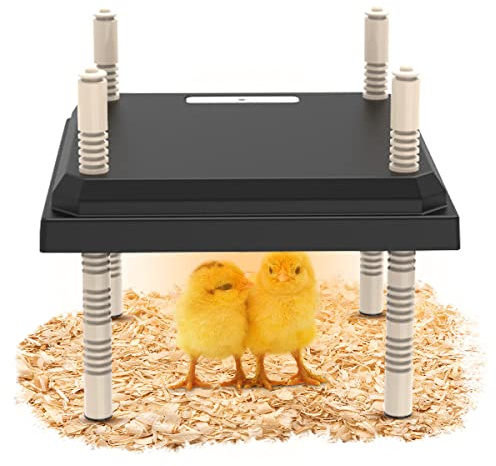 Plaque chauffante pour couveuse de poussins 25,4 x 25,4 cm – Lampe chauffante – Hauteur réglable – Température de chauffage maximale 55 ℃/132 ℉ Convient pour 15 poussins (norme britannique foncée)