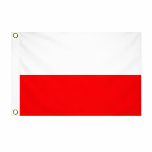 Brick Takeover Bandera de los países (150 x 90 cm, con ojales metálicos de Polonia)