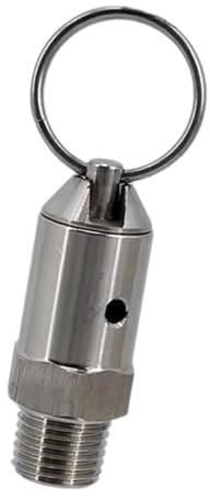 TAIZhiChen Soupape de Décharge de Pression pour Fûts de Bière, Pièces de Rechange pour Fûts de, Compacte, Facile à Installer, Filetage Mâle 1/4&, 100 Psis