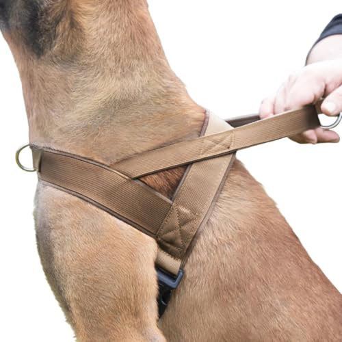 Imbracatura anti-trazione per cani | Gilet senza guinzaglio traspirante e regolabile, con fibbia di sicurezza regolabile, imbracatura anti-tiraggio, adatta per razze medie e grandi, da viaggio