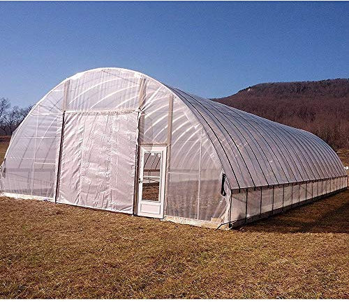 Lámina de plástico transparente para invernadero de 4 metros de ancho, pollytunel, 75 micras, 300 g (4 x 4 m)