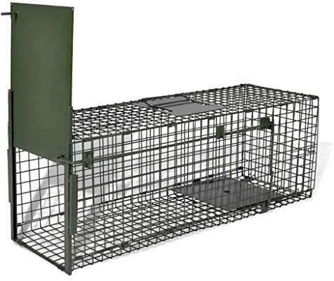 Festnight Lebendfalle mit 1 Tür 80 x 25 x 25 cm, Metall Marderfalle Rattenfalle Katzenfalle für Innen, au?en, Küche, Garten & Haus Kastenfalle, Stahl