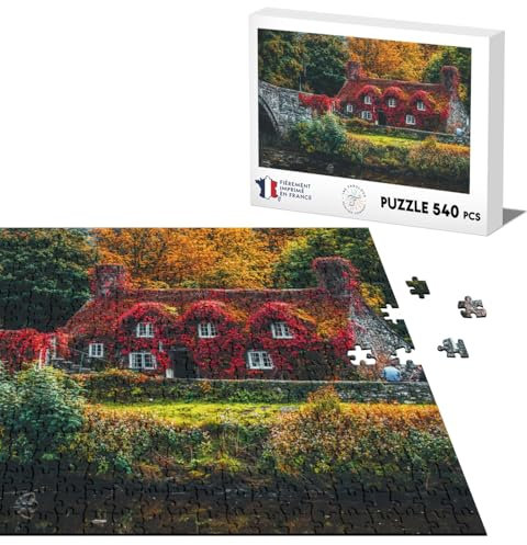 Puzzle Classique 540 pièces Maison Vintage Couverte de Lierre Rouge Devant Riviere