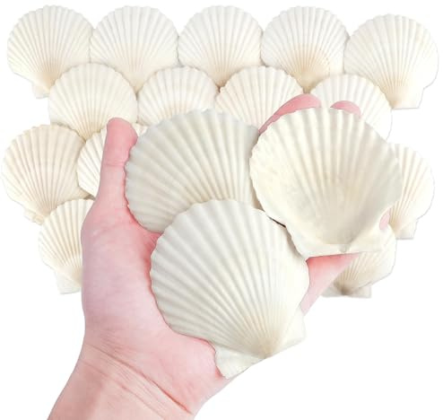 20 Piezas Conchas de Vieira Naturales Blancas 7-8 cm | Conchas de Mar para Decoración de Bodas en la Playa, Fiesta Temática Marina, Relleno de Jarrones | Conchas Marinas Naturales para Artesanía DIY