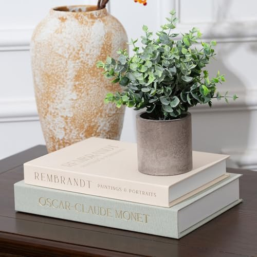 Lot de 2 boîtes de rangement esthétiques en lin – Style bohème – Faux livres décoratifs pour table basse, bibliothèque et salon, rangement caché pour la maison, le bureau, les photos et les souvenirs