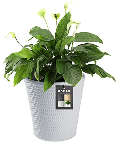 KADAX Plastic Flower Pot, Flower Pot in 3 Colours, Plant Pot, Weather-Resistant Flower Pot with Matte Surface, Outdoor Plant Pot (Grey Diameter 30 cm)