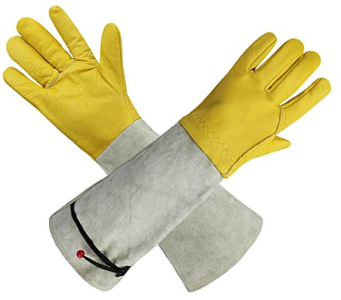 Gants de cactus, gants de rose d'élagage des gants de jardinage épine