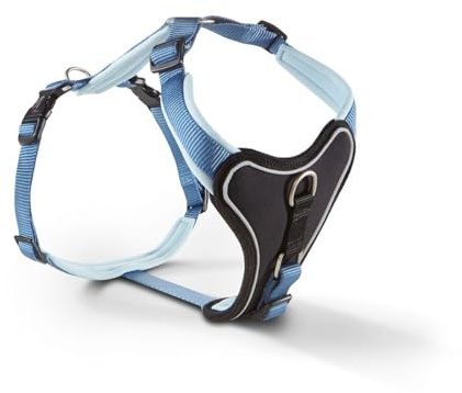 Wolters Geschirr Professional Comfort, Größe:60-70 cm, Farbe:Riverside Blue/Sky Blue