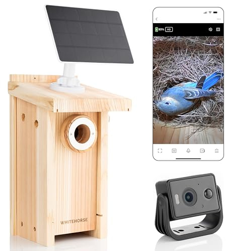 WHITEHORSE Fågelhus med kamera - Trådlös och soldriven - Ta foton och videor från din telefon (gratis app) - Rörelsesensorn meddelar dig när en fågel upptäcks - 32 GB minneskort ingår