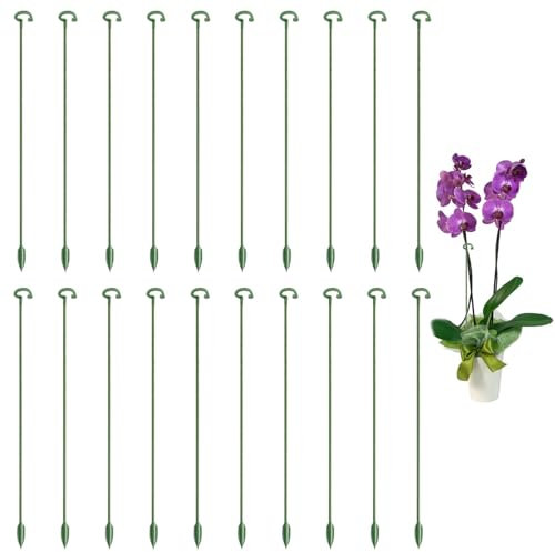 HAFRILY 20Pcs Plant Support Stakes 27cm/10.6in for Plant Supports for Indoor Plants for Roses Orchid Monstera Peony Tomatoes Tulips Fibreglass Plant Stakes