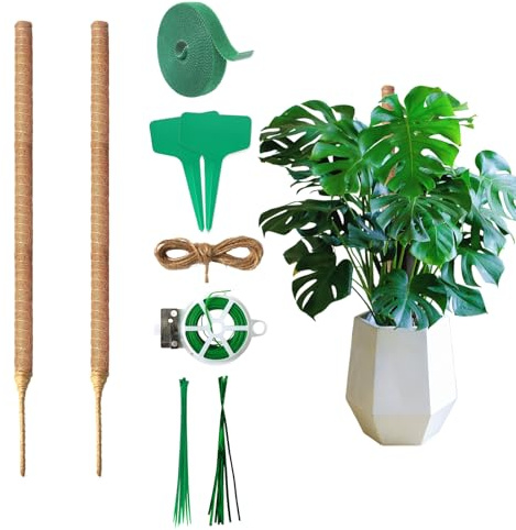 Monstera Rankhilfe 60 cm (2er Set) - Flexible Moosstab für Monstera aus Kokosfaser inkl. Zubehör und Pflanzenstütze für Kletterpflanzen im Innenbereich