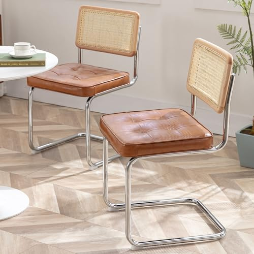 Zesthouse Rattan Dining Chairs Set of 2, Cantilever Kitchen Chairs, Brown